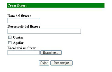 pantalla per pujar fitxer